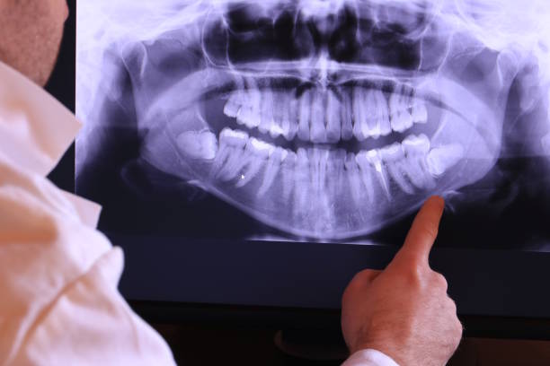 Best Emergency X-Rays and Diagnostics in Mdleton, ID