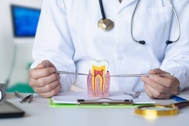 Best Urgent Dental Care for Toothaches in Mdleton, ID